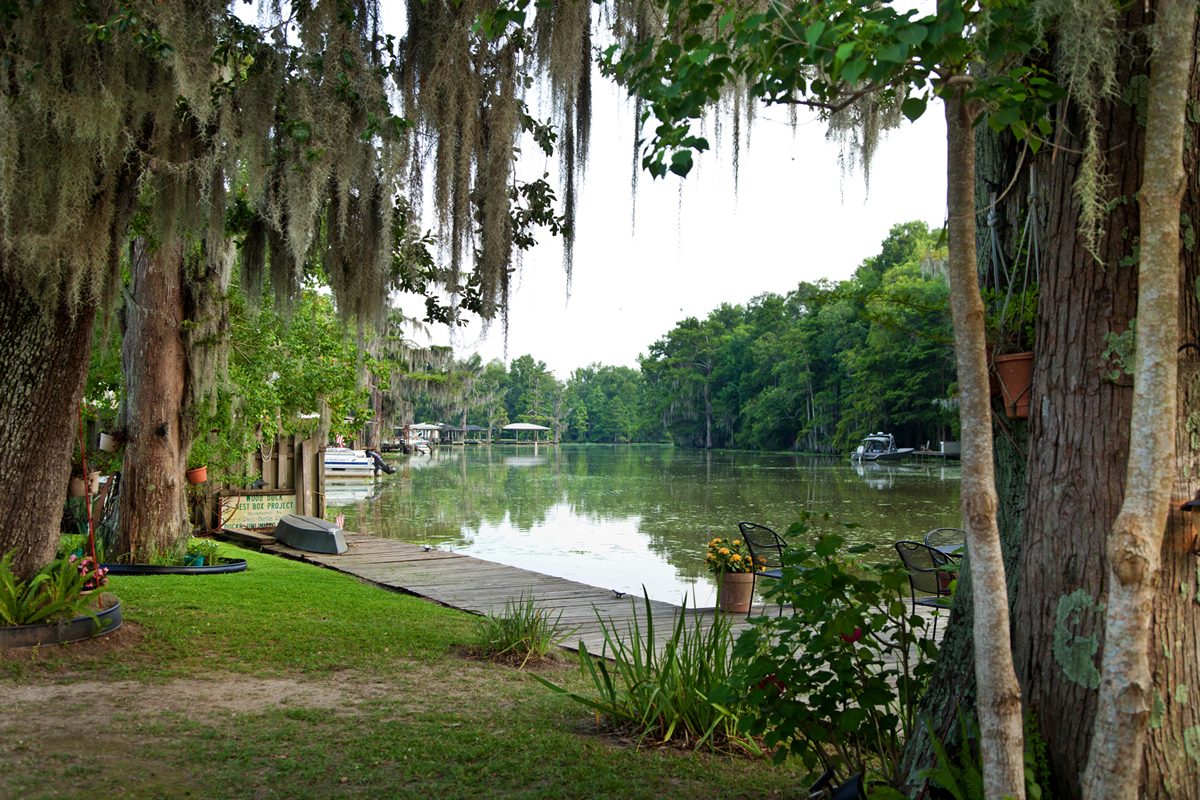 Bayou Corne seen from the cabins' lawn under the oaks