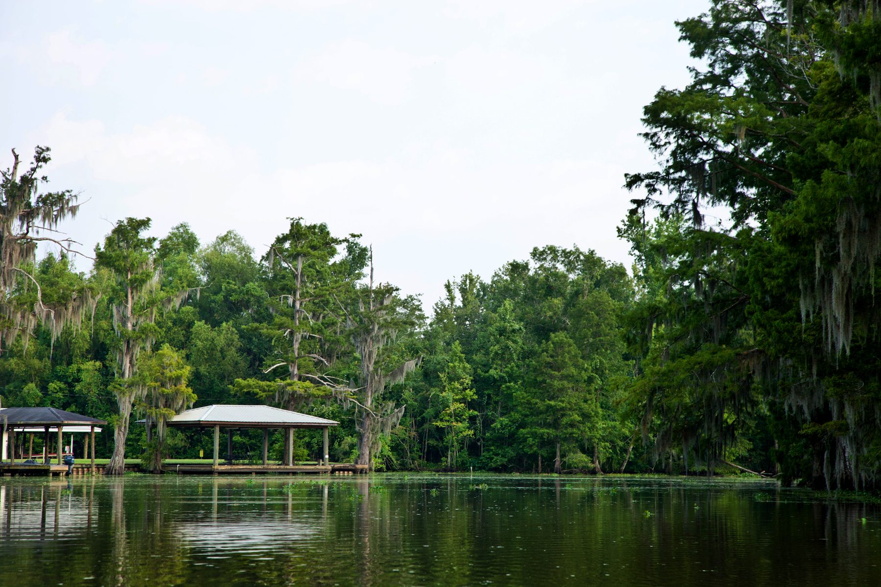 Bayou Corne at Sportsman's Landing