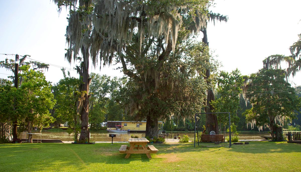 The lawn, oaks and picnic tables between the cabins and the bayou
